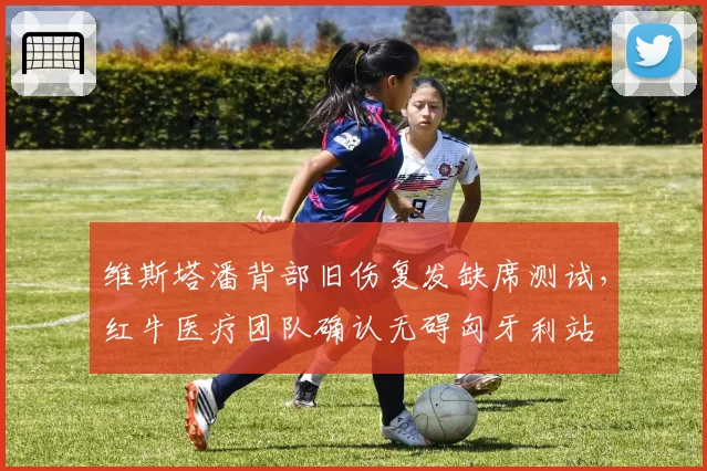 维斯塔潘背部旧伤复发缺席测试，红牛医疗团队确认无碍匈牙利站